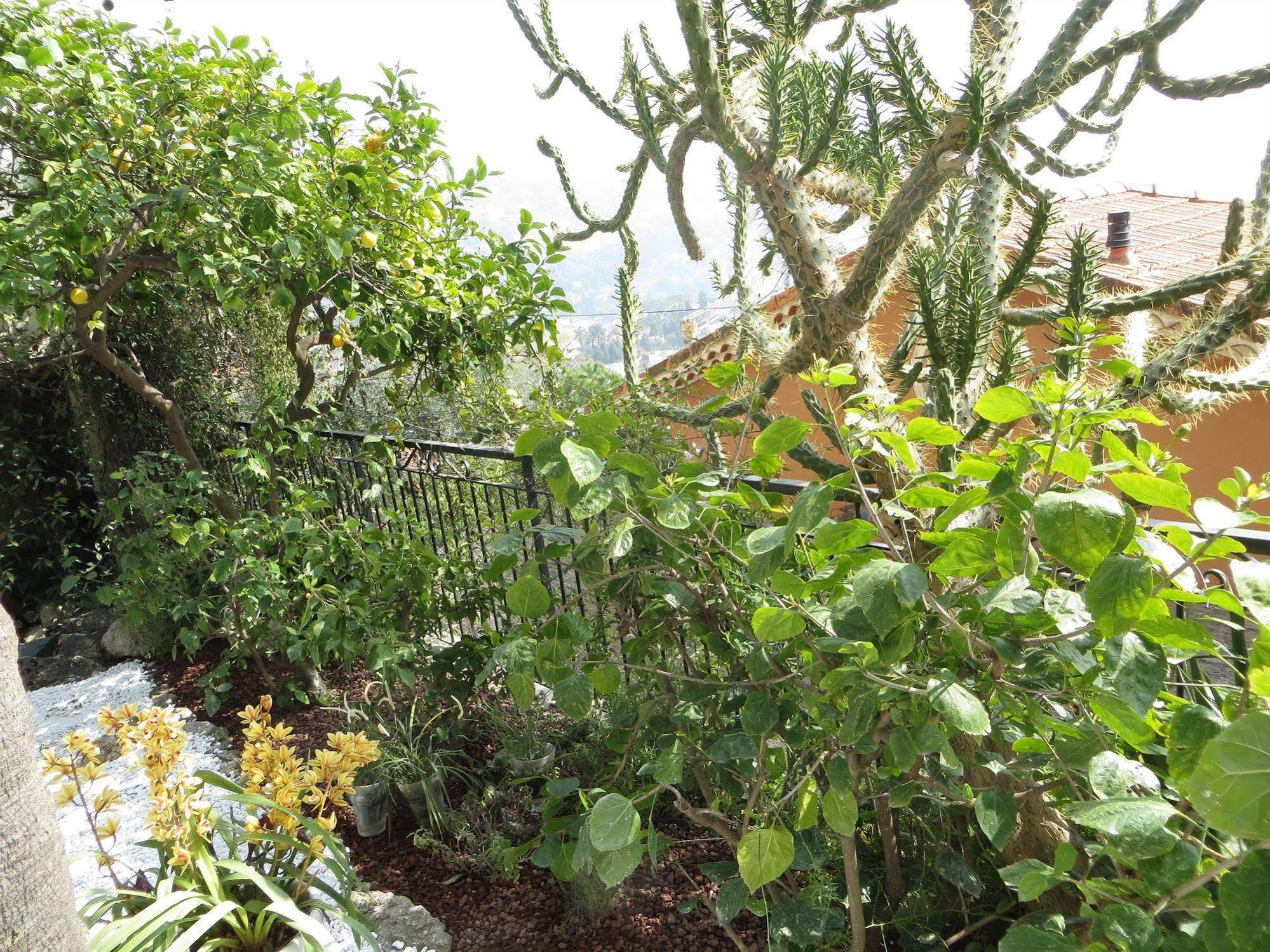 Hotel De Charme Regency Roquebrune-Cap-Martin Eksteriør billede
